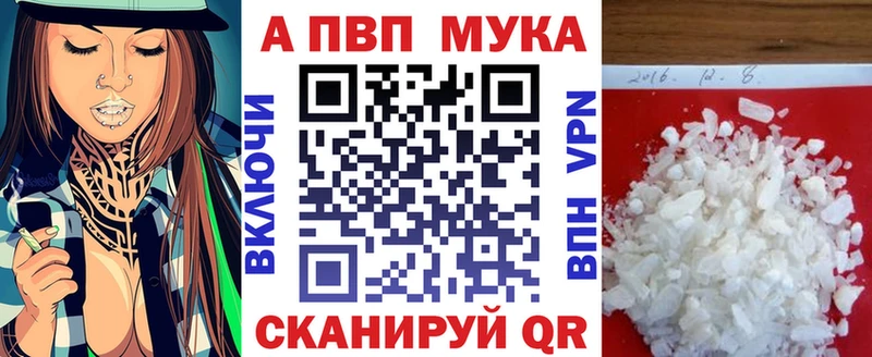 закладки Грозный Alfa_PVP СК КРИС