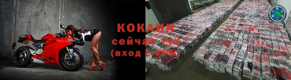 прущие грибы Горнозаводск