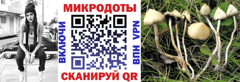 Галлюциногенные грибы ЛСД  цена   Грозный 